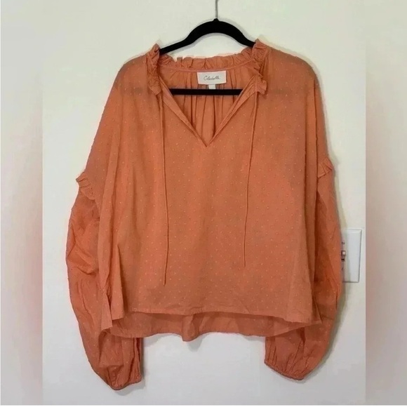 Cleobella Phoenix Blouse Coral Long Sleeve Cotton US Sz Large - Picture 3 of 7